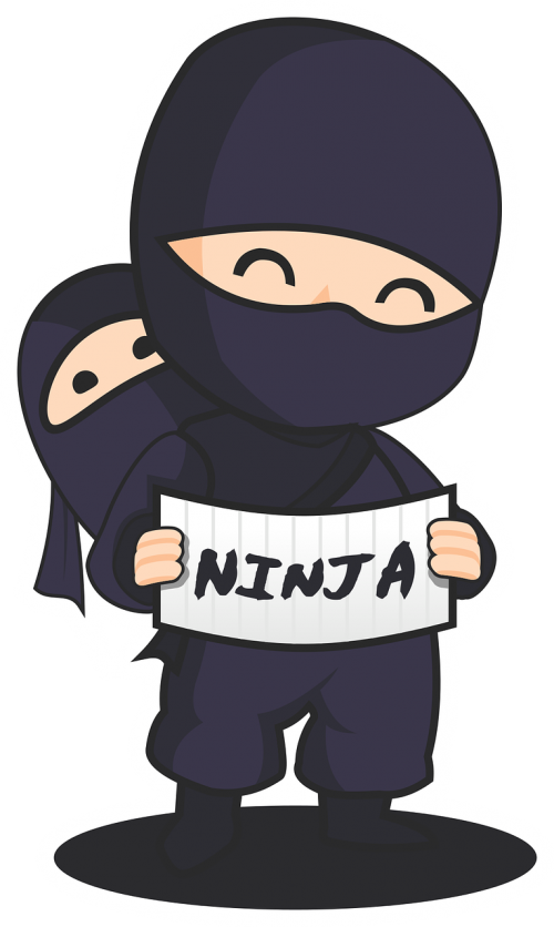ninja baby parent