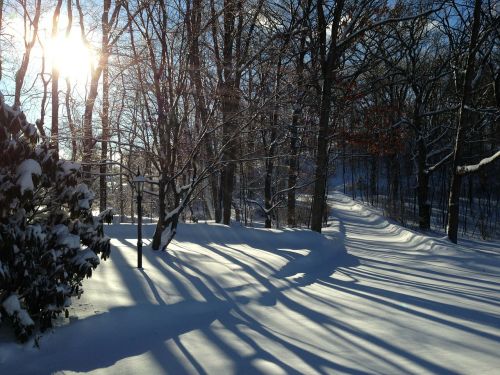 nj winter shadows