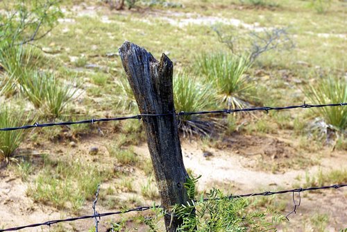 nm barbed wire fence  barbed  wire