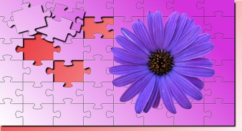 no person wallpaper puzzle flower