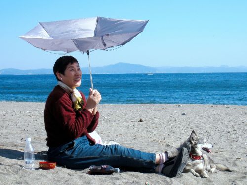 nobi beach umbrella wind