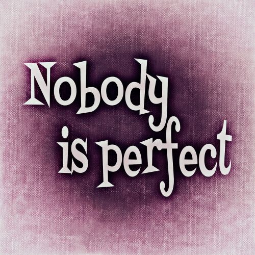 nobody is perfect saying perfect