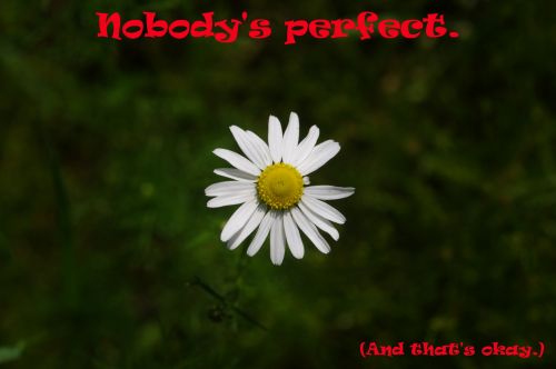 Nobody&#039;s Perfect