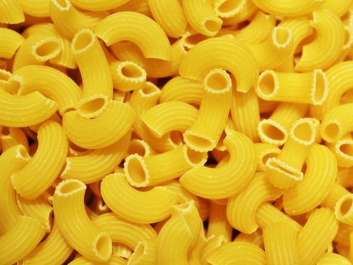 noodles yellow pasta