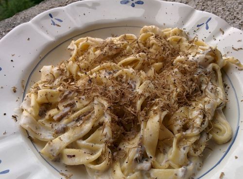 noodles truffle pasta