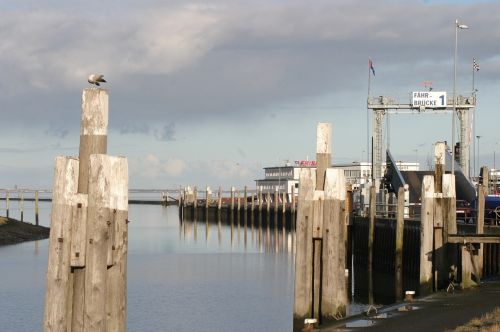 norderney port wooden planks
