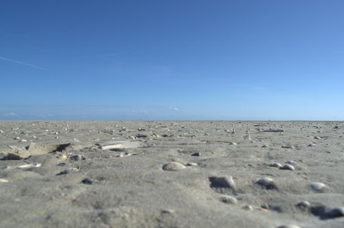 norderoogersand protection zone noorderuug söön