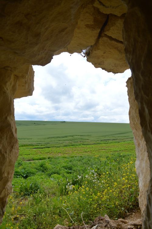 normandy green landscape