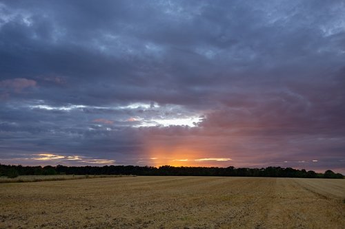 normandy  france  fields