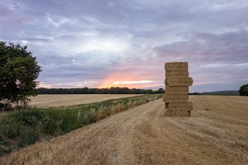 normandy  france  fields