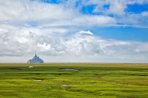 Normandy Pasture