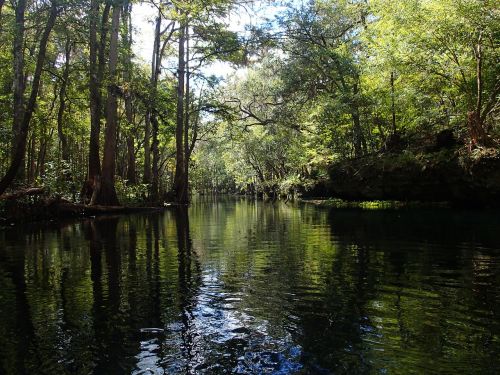 north florida river water