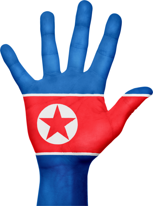 north korea flag hand