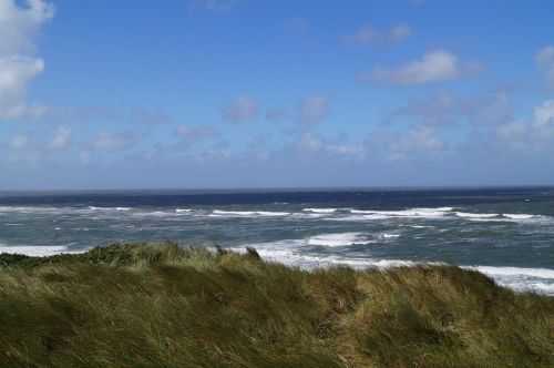 north sea dunes sea