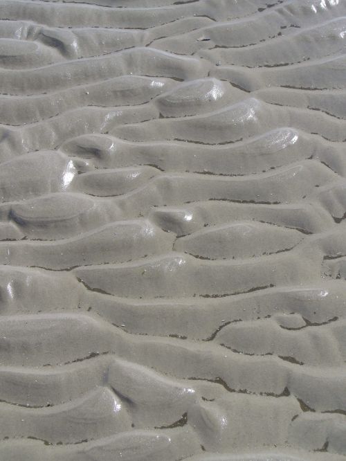 north sea wadden sea sand