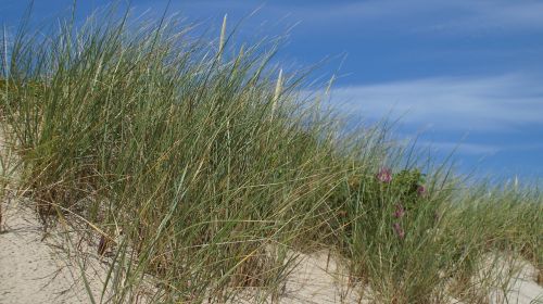 north sea sylt beach