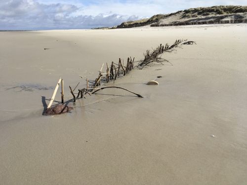 north sea beach sand