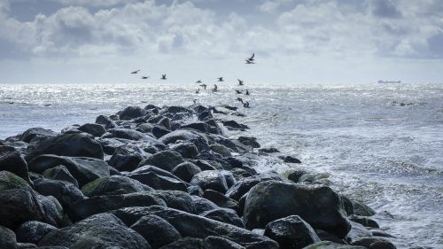 north sea sea beach