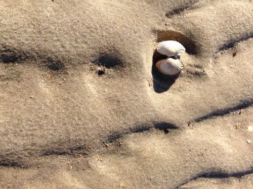 north sea beach amrum