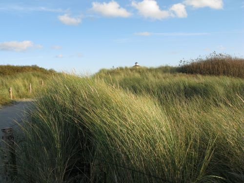 north sea dunes lighthouse