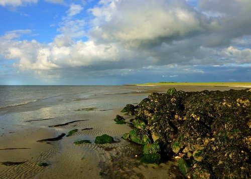 north sea  beach  coast