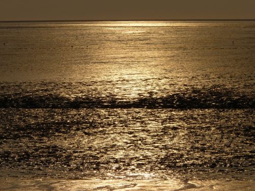 north sea wadden sea evening sun