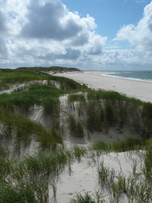 north sea dunes sylt