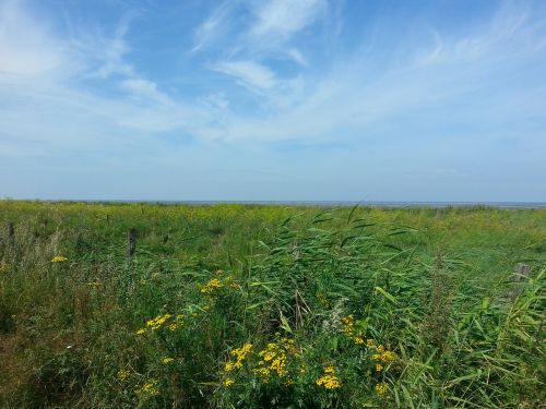 north sea cuxhaven landscape