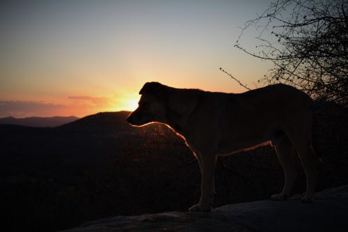 northeast dry sunset