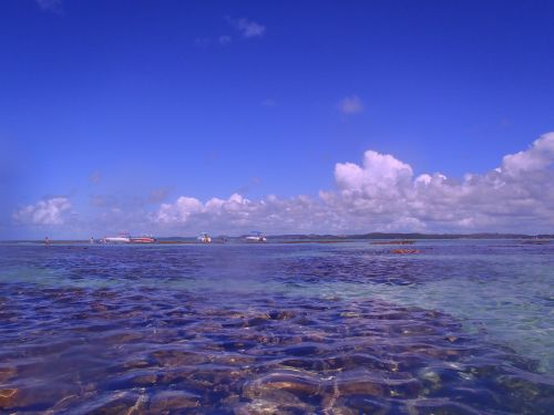 northeast beaches brazil