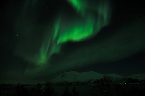 northern light  winter  snow