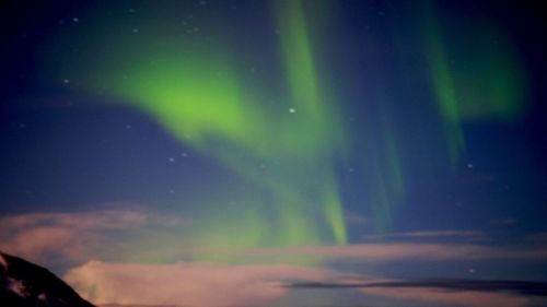 northern lights aurora aurora borealis