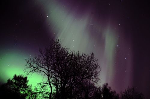 northern lights aurora polaris norway
