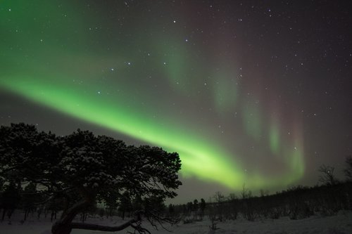 northern lights  sweden  night