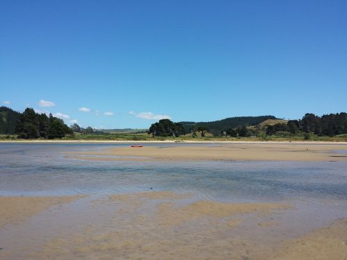 northland new zealand nature