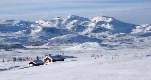 norway winter snow