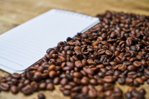 notebook coffee course