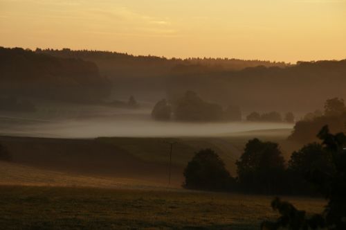 november sunrise fog