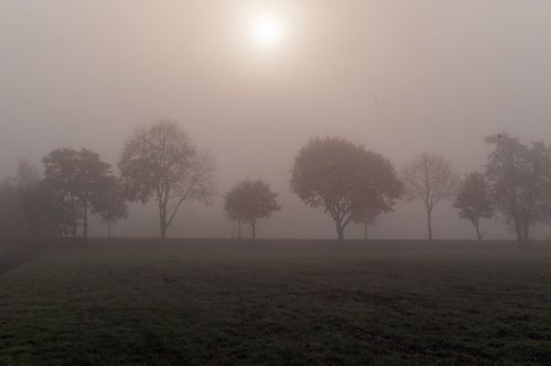 november day cold foggy