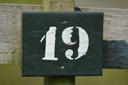 No 19