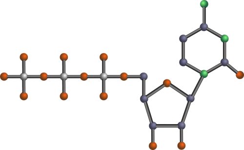 nucleotide dna pyrimidine