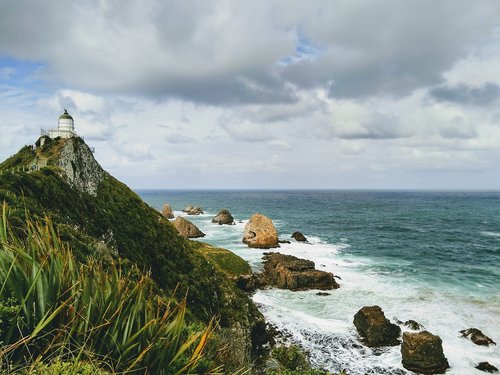 nugget point  new zealand  south island