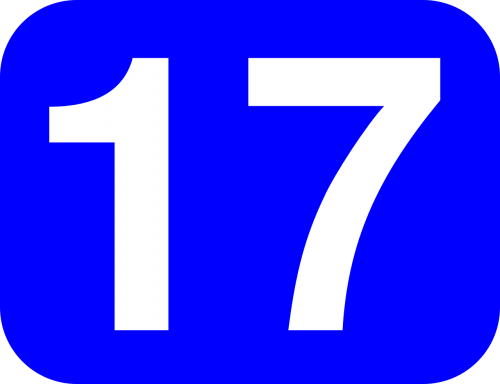 number seventeen 17