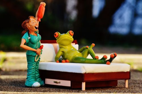 nurse frog bed