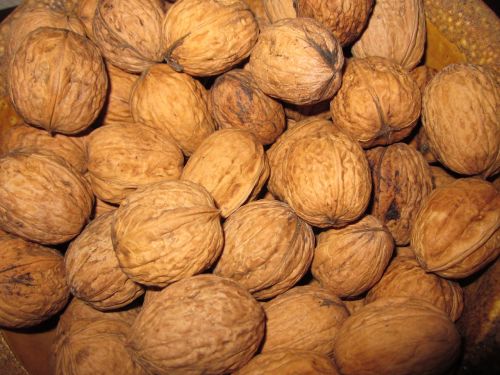 nut nuts walnut