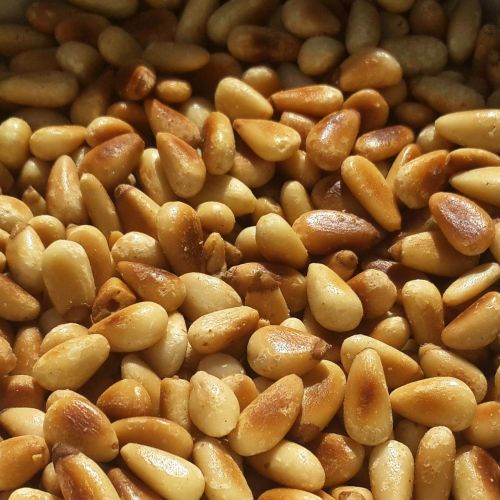 nut food produce