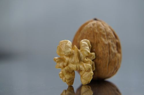 nut nuts dry fruit