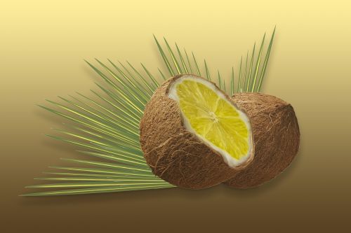 nut coconut lemon