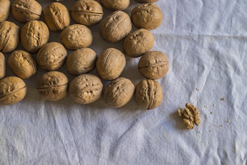 nut  walnut  healthy