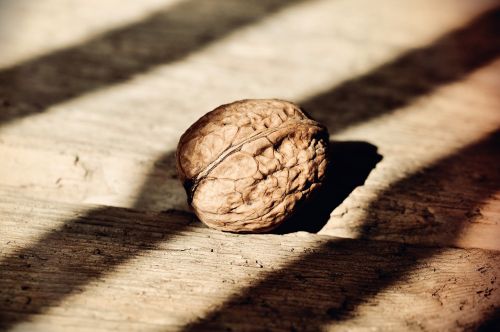 nut walnut healthy
